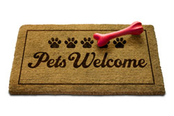 Click here to book an Unforgettable getaway for you and your pet at the Best Western Fallsview Hotel